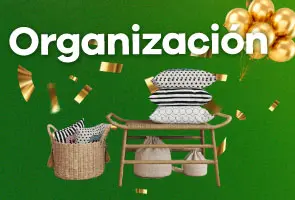 organizacion