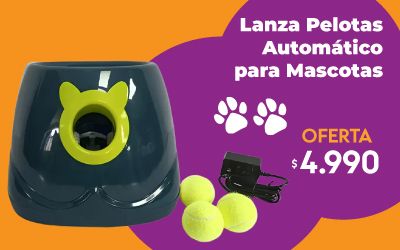 Productos