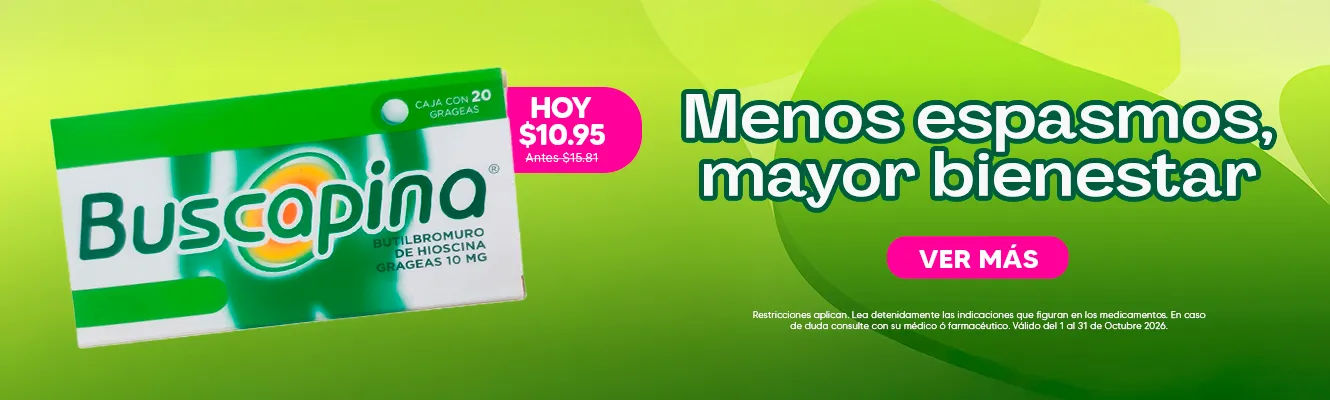 Imagen del carrusel