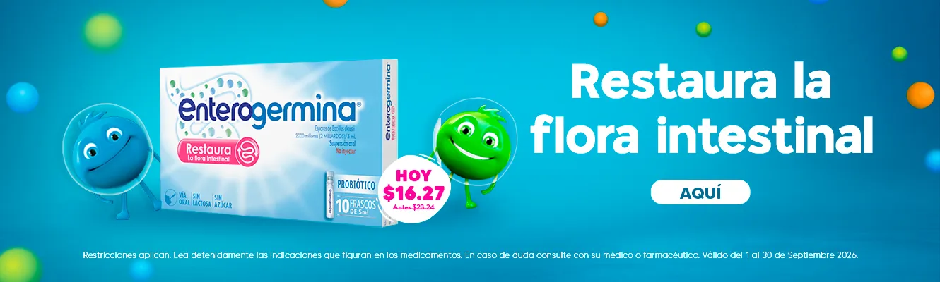 Imagen del carrusel