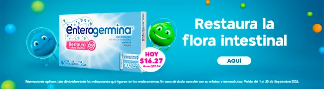 Imagen del carrusel