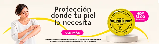 Imagen del carrusel