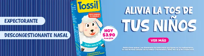 Imagen del carrusel
