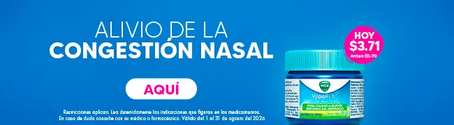 Imagen del carrusel