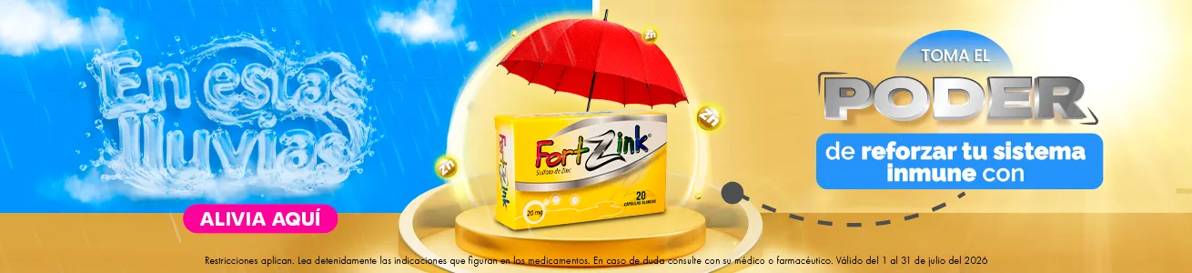 Imagen del carrusel